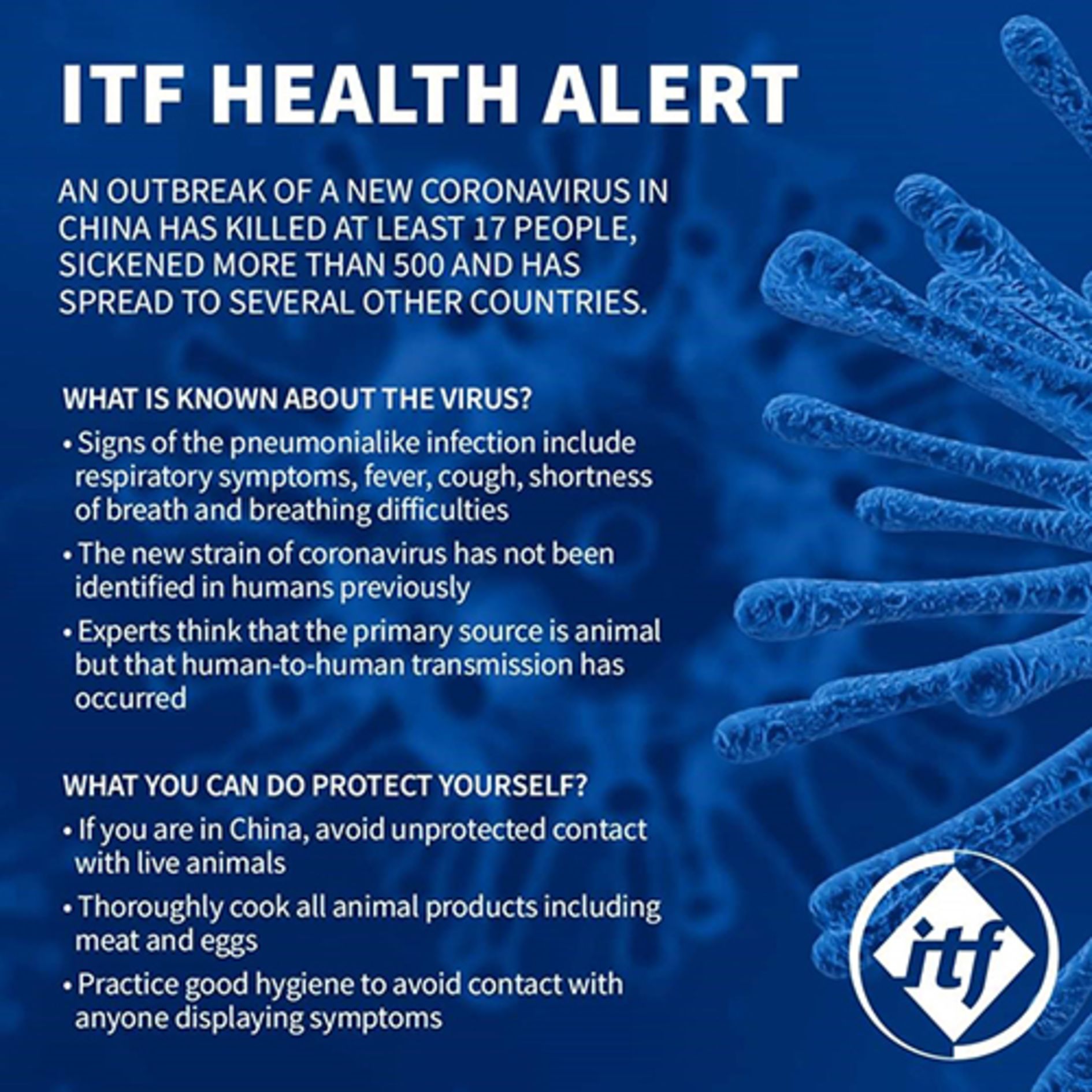 Global Shipping Body (ICS) issues guidance to shipowners in the face of the Corona Virus
